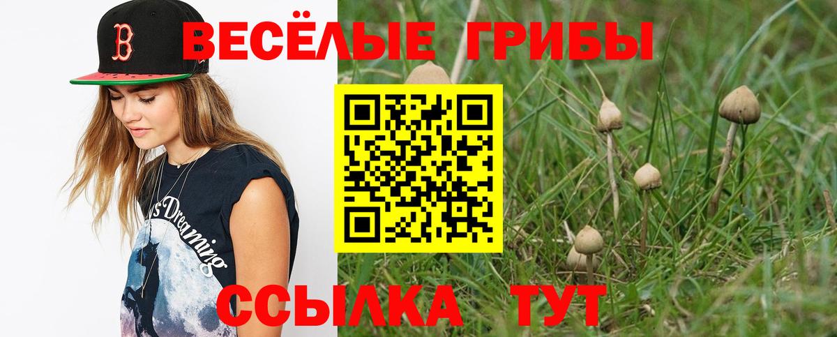 Волжск  Галлюциногенные грибы Cubensis  Вход с VPN 